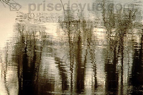 paysages61